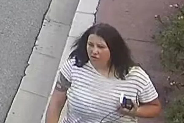 Підозрювані у справі Березовської дали покази: названо ключові епізоди