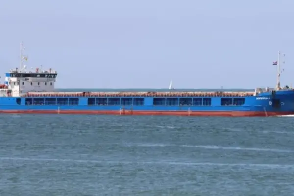 МЗС Румунії підтвердило загибель двох моряків після удару по зерновозу Royad Mammadov